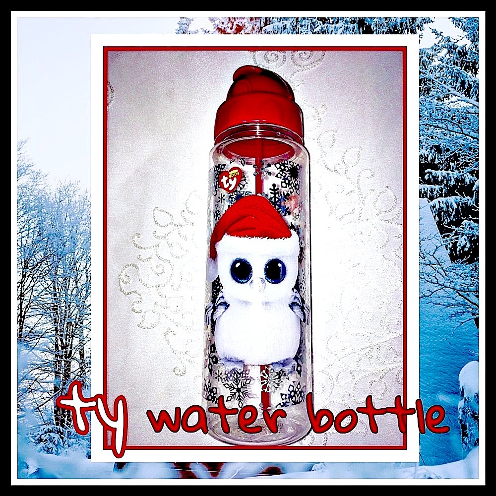 Ty Santa Snowman with Santa hat Christmas Water bottle